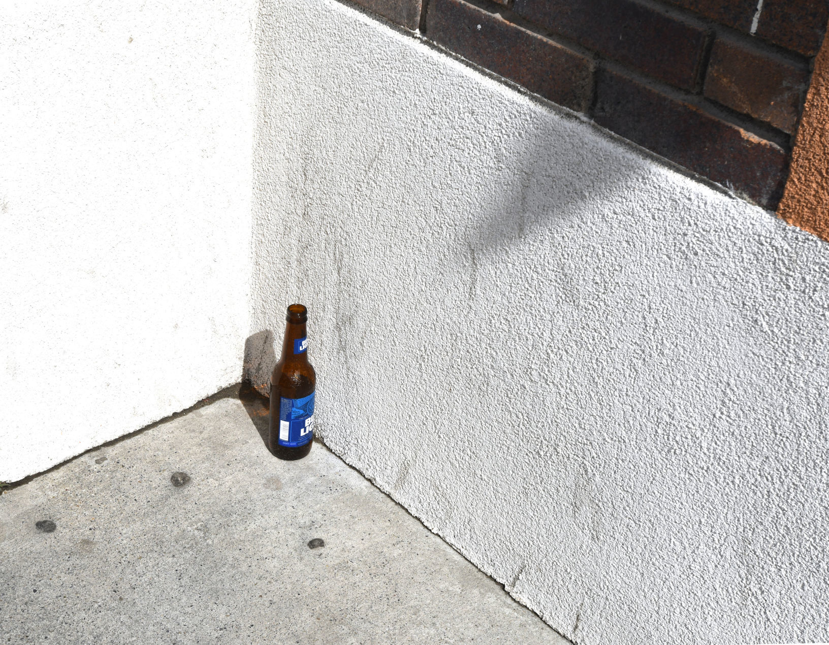 St. Patrick's day Remains